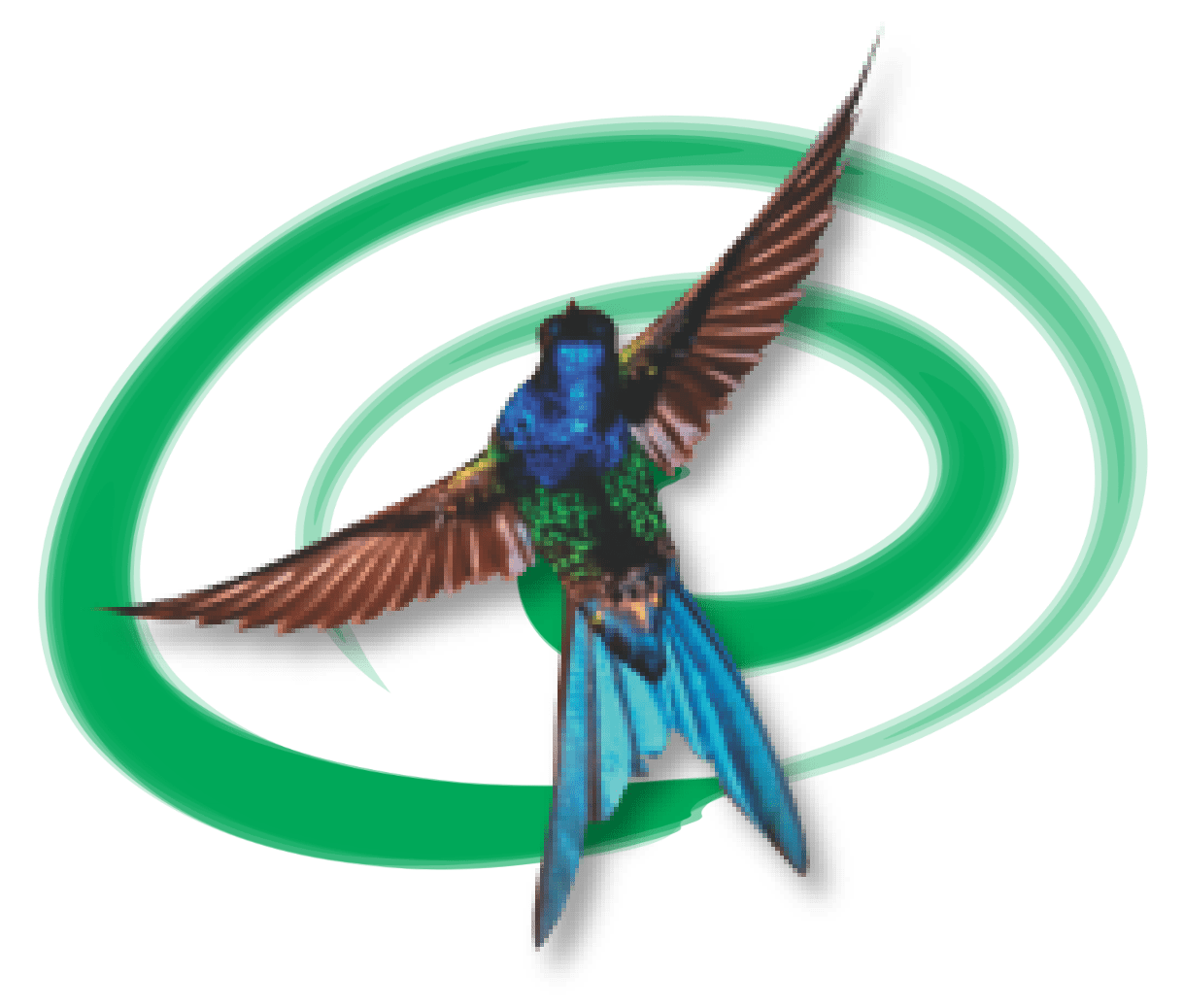 beija-flor-logo-espiral