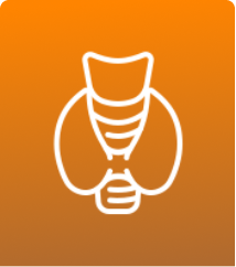 icone-endocrinologia